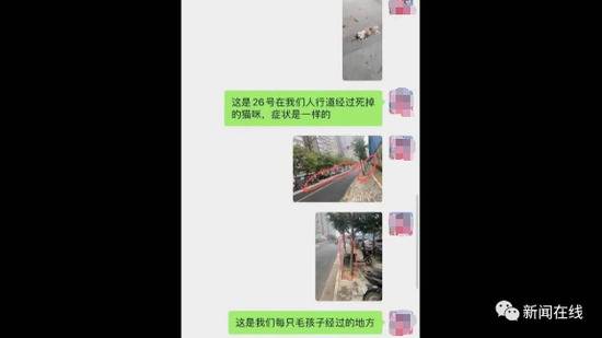 南宁多个小区近20只狗突然死亡！主人发现可能有人故意下毒