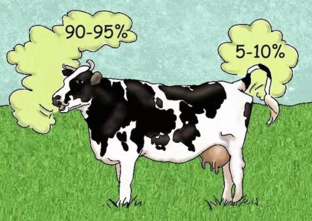 英企研发“牛用减排口罩”减少碳排放 “小题大做”还是确有必要？