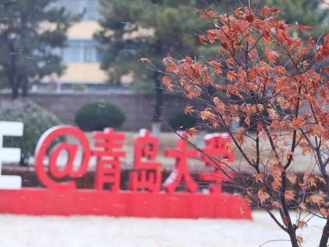 青岛大学2021年全日制博士研究生招生简章