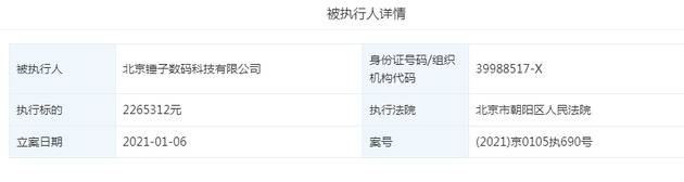 北京锤子数码科技再成被执行人 执行标的226万元