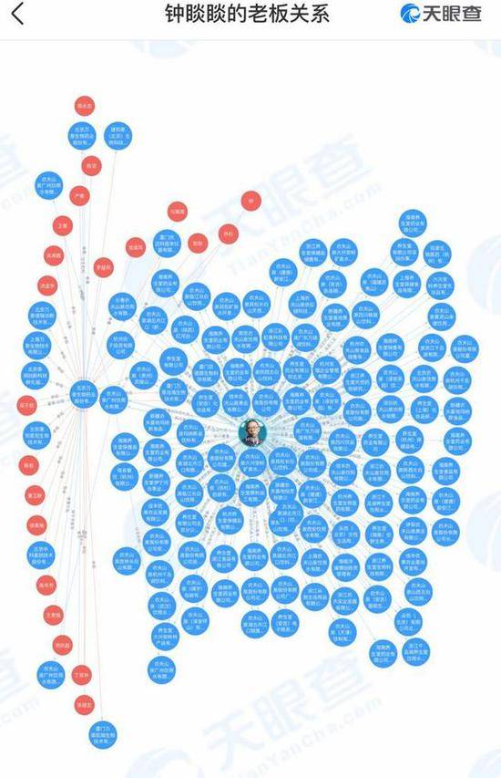 钟睒睒的老板关系图。截图自天眼查