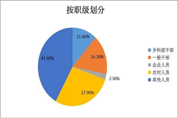 滁州琅琊：1-12月立案41件处分43人