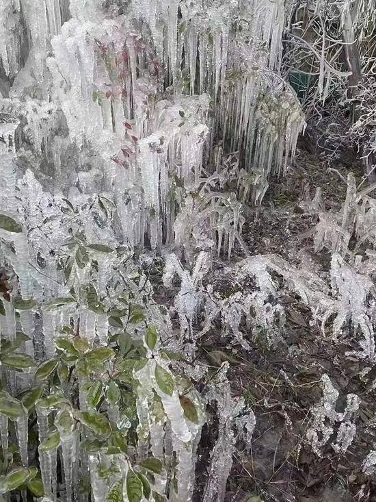 上海一新房小区惊现“冰川世界”？再冷几天，可能又要见证历史了