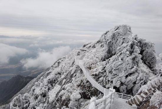 今晨现冷空气过程最低温，广州北部山区跌至0℃