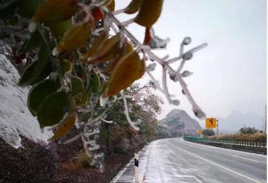 今晨现冷空气过程最低温，广州北部山区跌至0℃