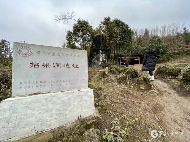 4万年前贵州古人类吃什么？招果洞遗址挖出“古人类菜单”