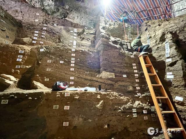 4万年前贵州古人类吃什么？招果洞遗址挖出“古人类菜单”