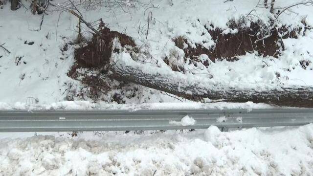 保加利亚西北部出现暴雪天气 部分道路封闭