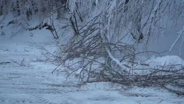 保加利亚西北部出现暴雪天气 部分道路封闭