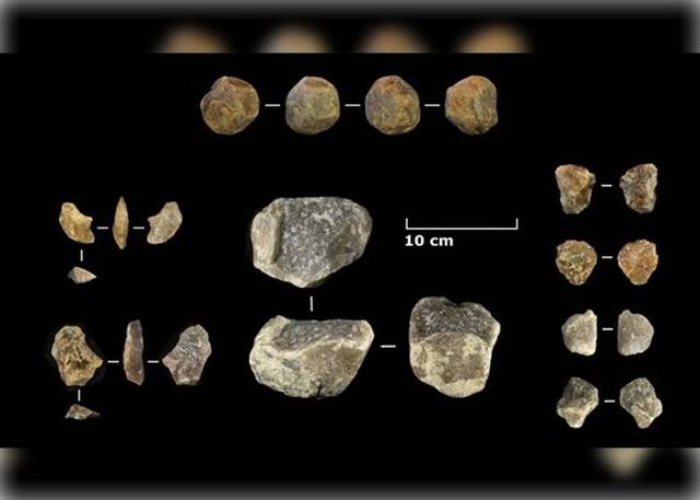 坦桑尼亚奥杜瓦伊峡谷发现200万年前石器及动物化石证早期人类具备适应环境的能力