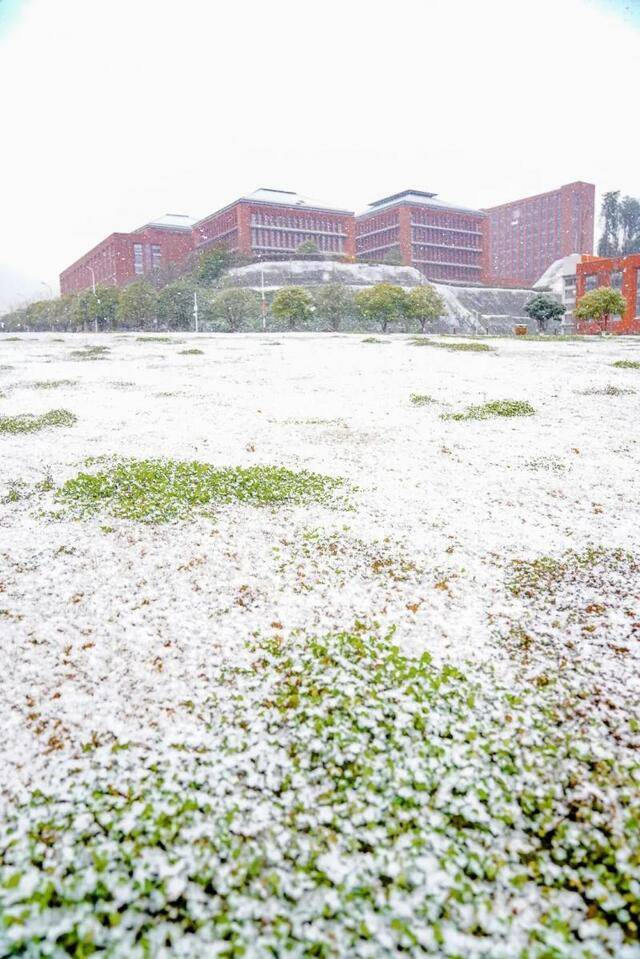 贵大初雪҈，太！美！了！