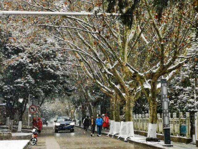 贵大初雪҈，太！美！了！