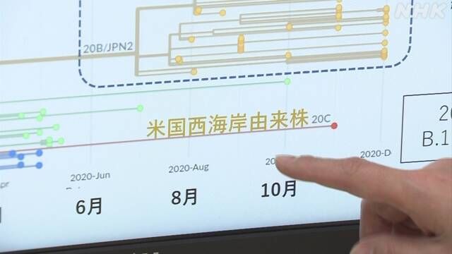 日本国内发现来自美国西海岸的毒株（NHK）