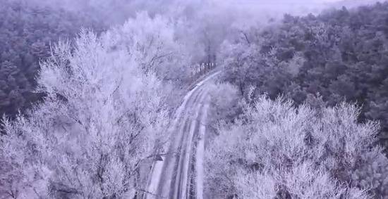 延庆大庄科雪花与雾凇不期而遇，美若童话世界！