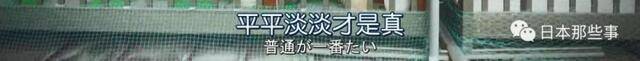 这部日剧会火吗 《Oh！My Boss！》首集剧情解析