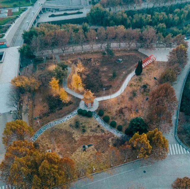 六个一等奖 ，济南大学在山东省第六届大学生艺术展演活动中获佳绩