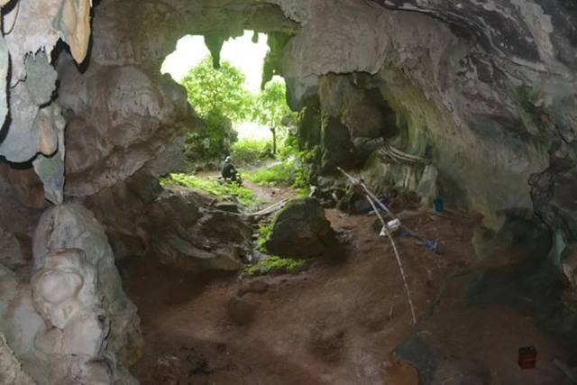 印尼苏拉威西岛Leang Tedongnge洞穴发现4.55万年前冰河时期疣猪壁画或出自智人之手