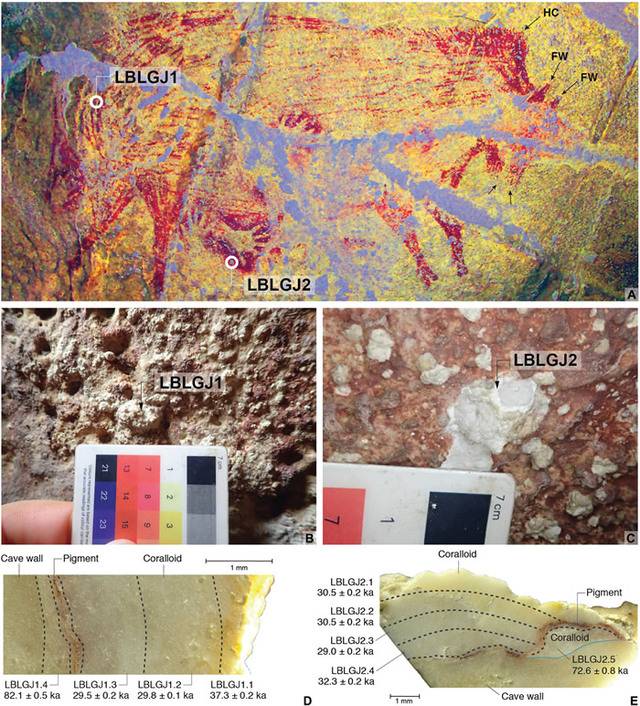 世界最古老的动物壁画很可能在印尼苏拉威西岛和疣猪有关