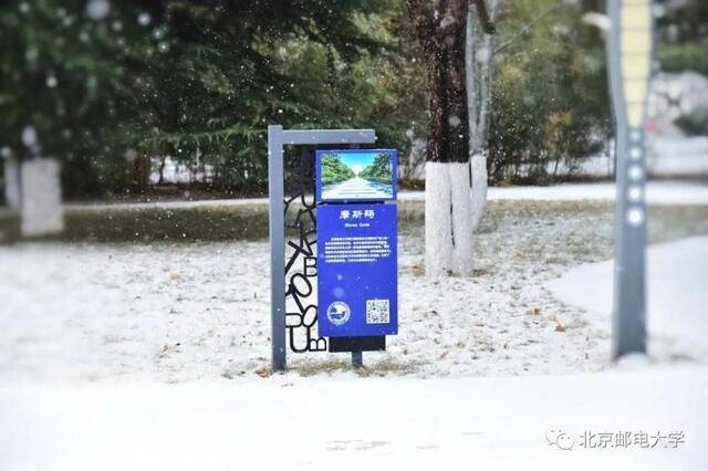 遇见邮苑丨2021的第一场雪~