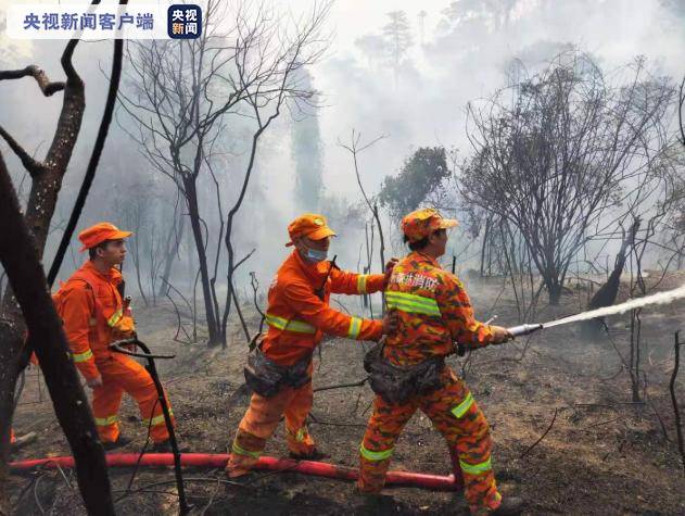 广州市花都区山火明火基本扑灭