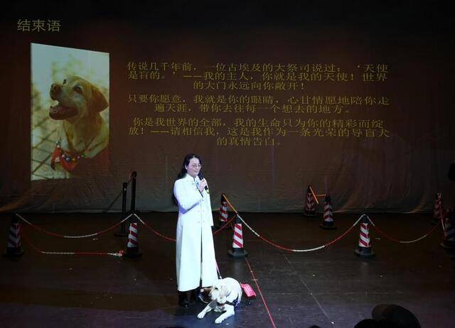 两只导盲犬耳思、安安相继陪伴韩颖。