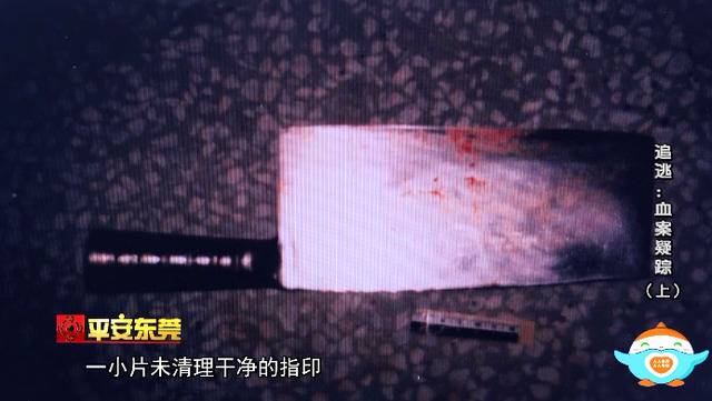 一夜间，5条人命惨遭黑手！东莞警方追查22年终破案！