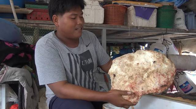 泰国渔民停船时捡到7公斤重“鲸鱼呕吐物”龙涎香价值21万英镑