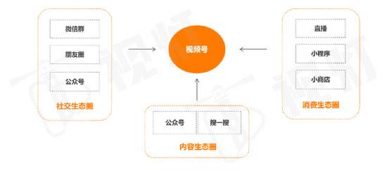 数据来源：阿拉丁研究院、视灯研究院