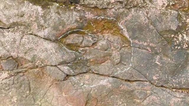四川省乐山市夹江县千佛岩景区发现白垩纪恐龙足迹化石