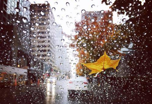 浙江：雨水今天报到 暖是假象，脱掉的羽绒衣又要穿上吗？