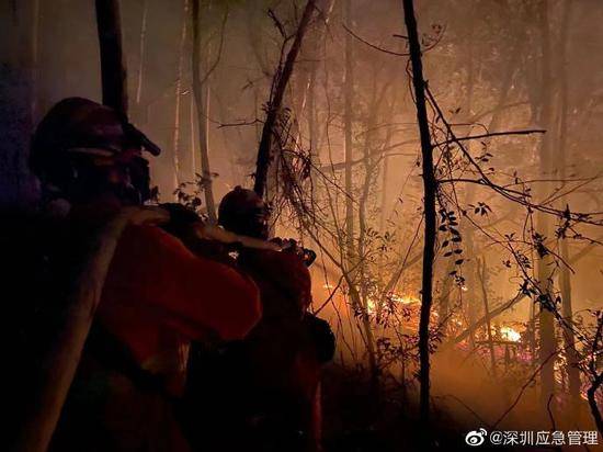 深圳应急局通报大南山山火：凌晨明火全部扑灭，无人员伤亡