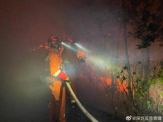 深圳应急局通报大南山山火：凌晨明火全部扑灭，无人员伤亡