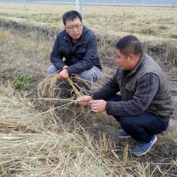 天理成绩单 脱贫攻坚 奋斗有我