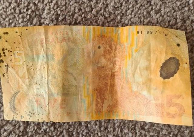 新西兰坎特伯雷男童海中发现5新元旧钞拍卖价飊升200倍