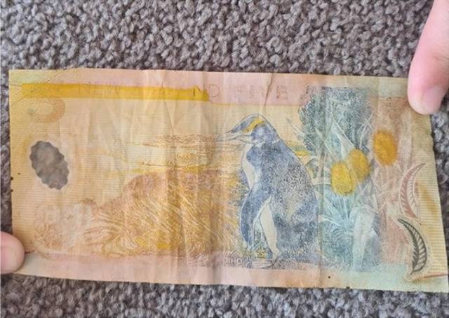 新西兰坎特伯雷男童海中发现5新元旧钞拍卖价飊升200倍