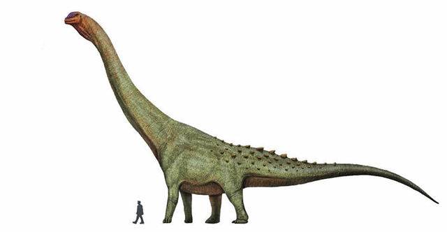 阿根廷发现9800万年前的恐龙化石或是“有史以来发现的最大恐龙”