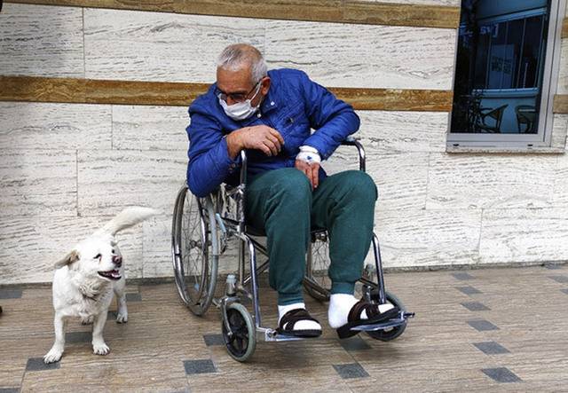 土耳其特拉布宗忠犬追赶接载主人的救护车接连6天到医院门口守候