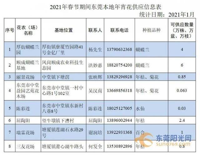 东莞“云花市”来啦！今年可以去这些地方选购年花！