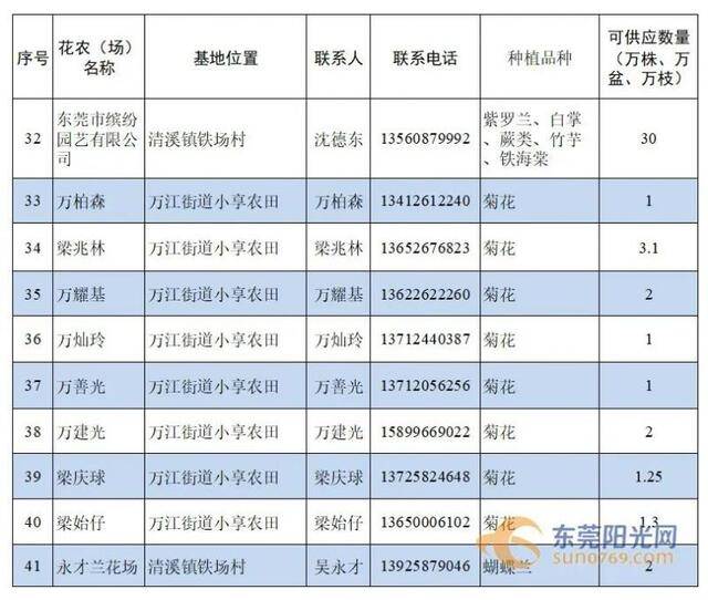 东莞“云花市”来啦！今年可以去这些地方选购年花！