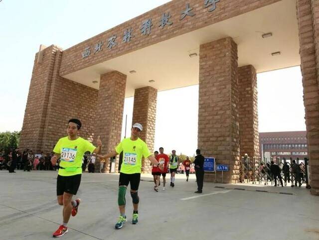 1月25日10:00，“杨马”开始报名！新增大学生“半马”！