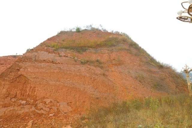 地质勘察员在夹江县千佛岩景区旅游时无意中发现恐龙足迹化石