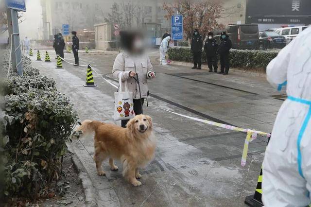 直击北京大兴天宫院融汇小区人员及宠物转运现场，已转运1388人