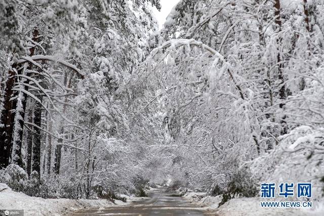 立陶宛迎大雪银装素裹




立陶宛迎大雪银装素裹