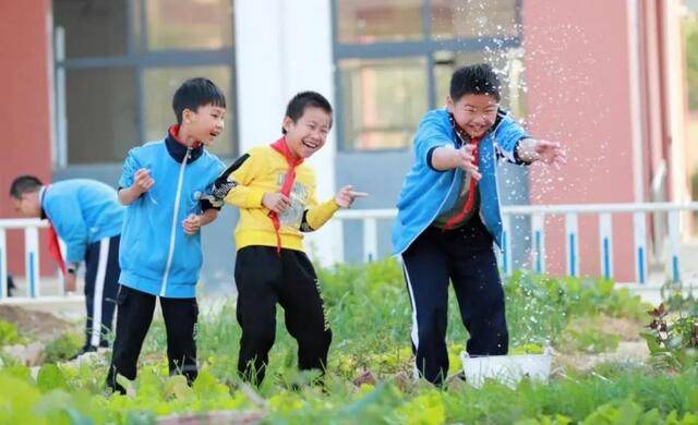 ▲扶绥县民族小学的同学们在劳动实践课上种植蔬菜。卢文斐摄