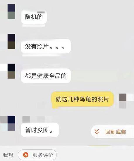 一售卖活体乌龟盲盒的卖家无法提供乌龟盲盒的系列展示图片。网页截图