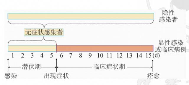 图自《新型冠状病毒肺炎无症状感染者在疫情传播中的作用与防控策略》