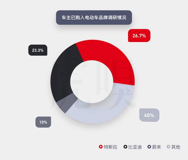 电动汽车决战中国：谁最懂年轻一代？