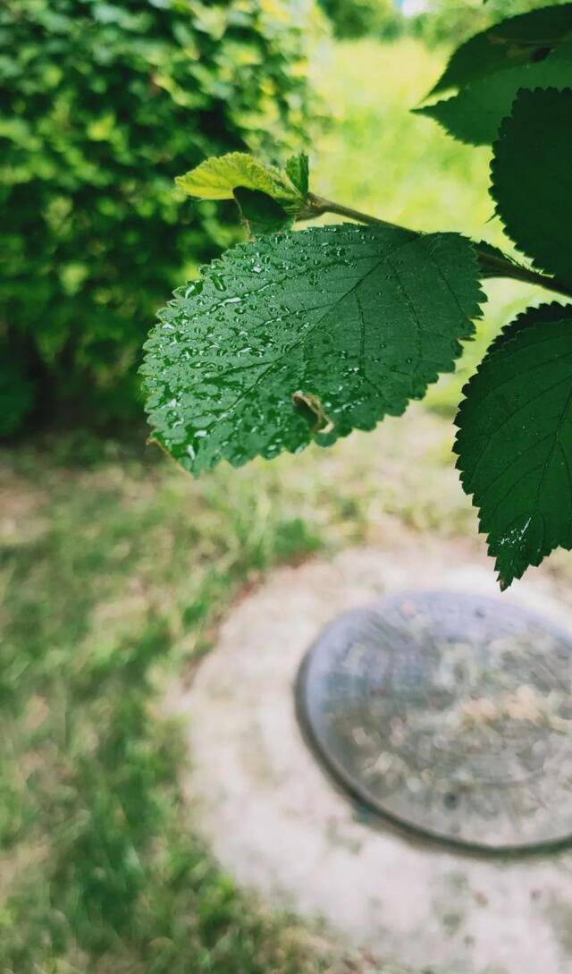 IMU假期  手机摄影大赛，就等你啦！