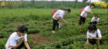 我和师大，话短情长  我和我的学校