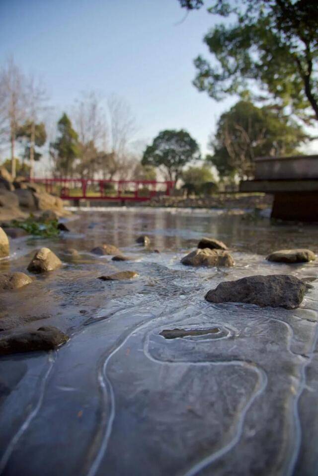 一月生活图鉴 ！这个月，理宝们都在......